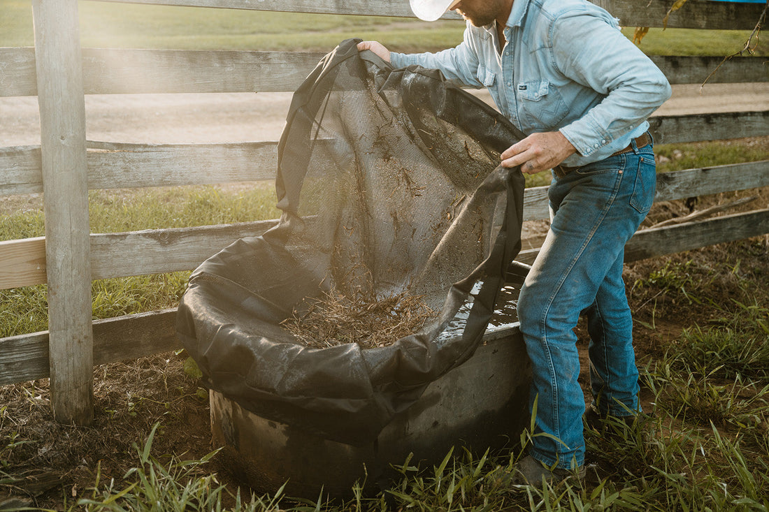 How to Clean a Stock Tank Safely Around Animals, Plants, and People