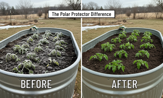 Why Every Stock Tank Garden Bed Needs a Durable Cover