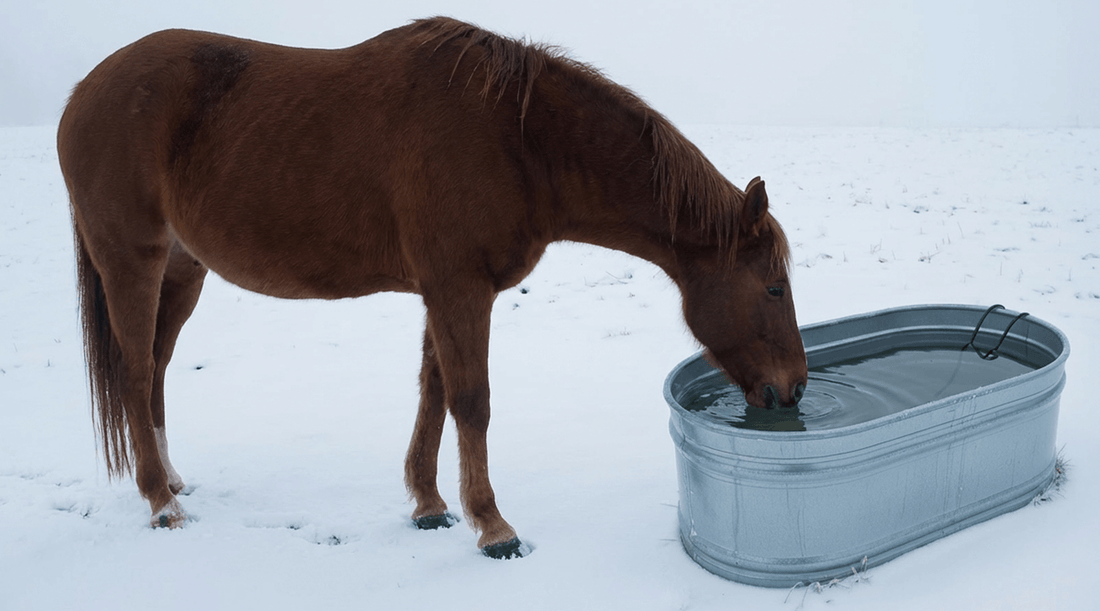 The Safer, Smarter Way to Keep Stock Tanks From Freezing (Without a 1500W Power Hog)